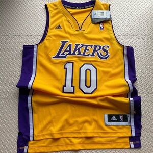 Adidas Lakers Steve Nash Jersey